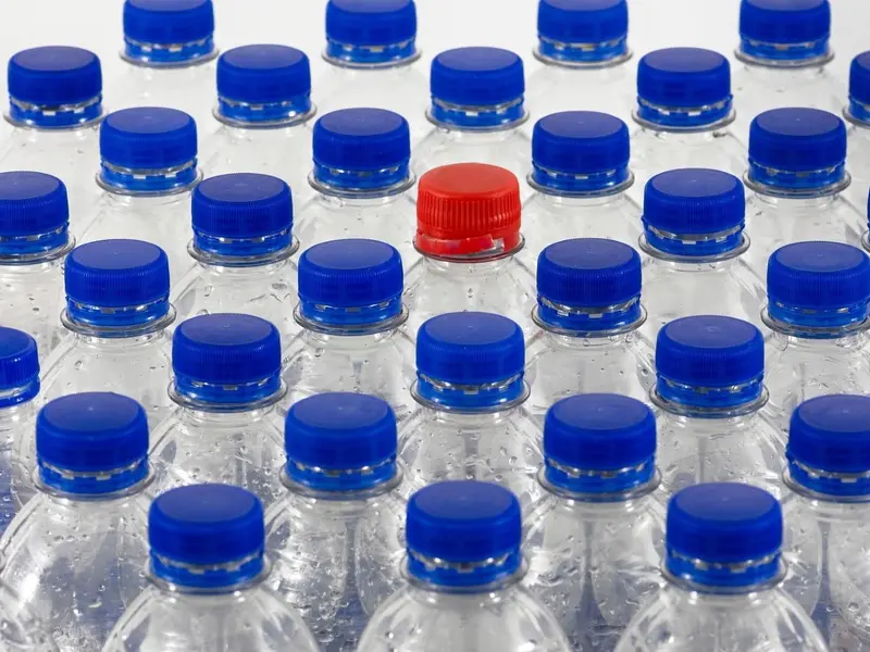 Alianza Verde exige activar el SDDR en España para 2026 por retrasos en su implantación