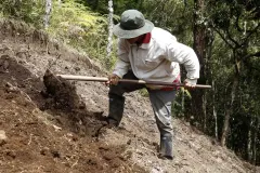 La biodiversidad del suelo, clave para la vida y el cambio climático