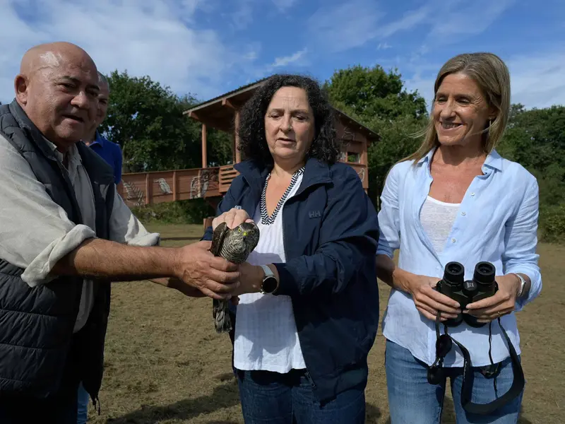 Belén do Campo participa en la suelta de un gavilán en Oleiros y resalta políticas de vivienda