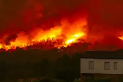 Galicia presenta el Pladiga 2026 para enfrentar incendios forestales