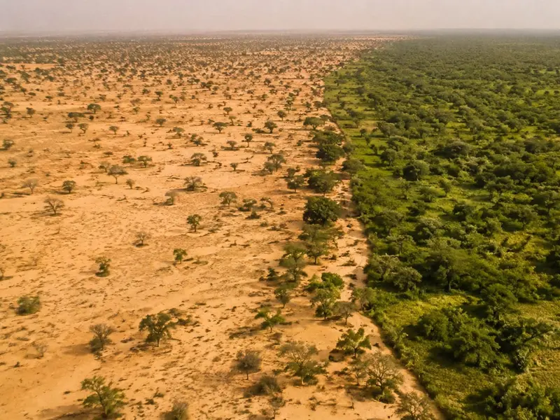 11 países africanos avanzan en la construcción de la Gran Muralla Verde