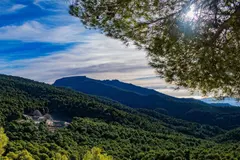 Nuevo método LiDAR mejora el estudio de bosques y ciudades en Cataluña
