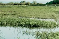 El Gobierno apuesta por restaurar acuíferos para salvar las Tablas de Daimiel