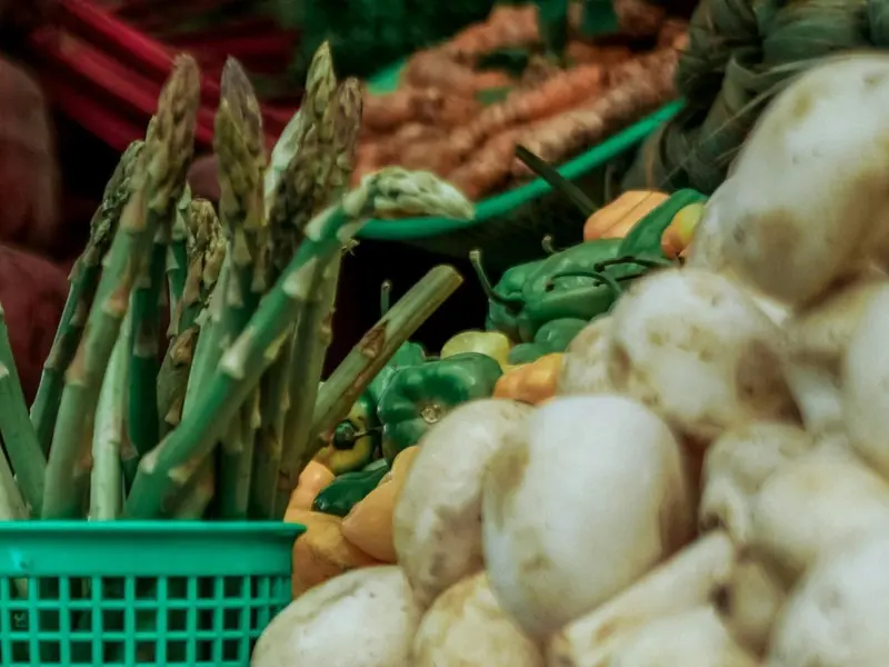 BioCantabria 2026 promueve el consumo responsable y productos ecológicos en Santander