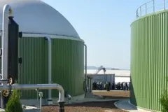 Bioenergy Europe exige un mayor apoyo a la bioenergía sostenible en Europa
