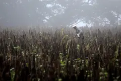 La OMM advierte sobre un fuerte episodio de El Niño en un contexto de emergencia climática