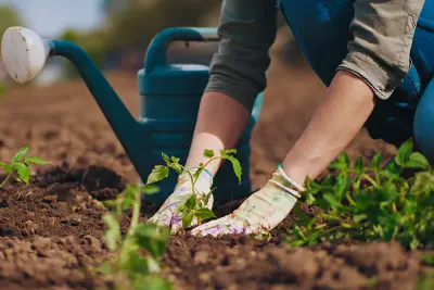 España lidera la producción de frutas y verduras ecológicas en la UE, según BBVA